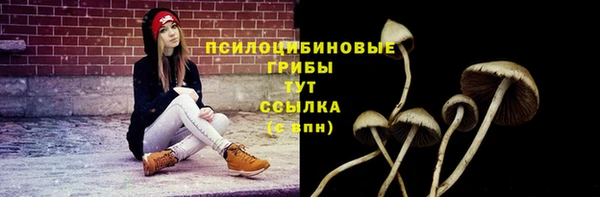 меф Пересвет