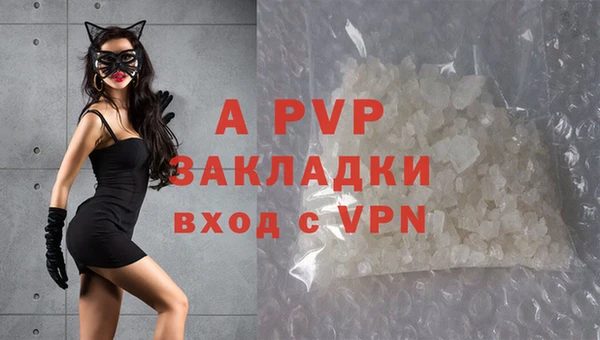 стафф Пестово