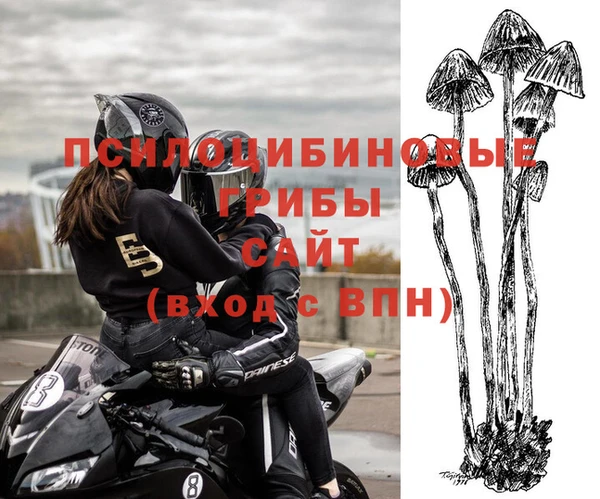 стафф Пестово
