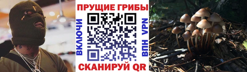 Псилоцибиновые грибы MAGIC MUSHROOMS  Шахунья 